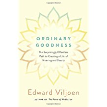 ordinary goodness - book